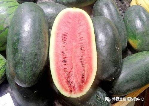 91黑科网吃瓜在线 吃瓜网每日大赛,揭秘吃瓜网每日大赛精彩瞬间